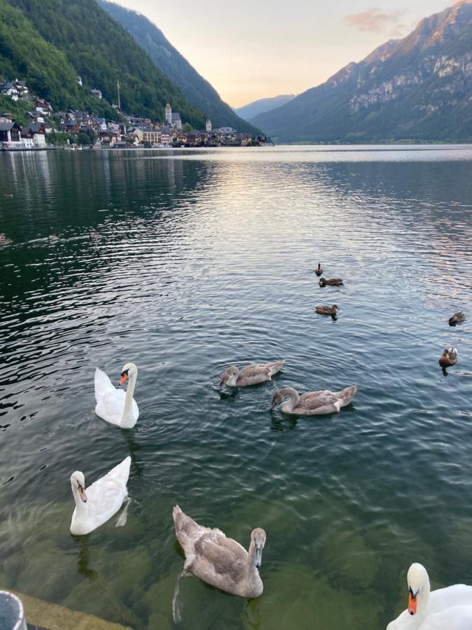 Hallstatt Lakeside Top 4 - Zimmer Mit Balkon ภายนอก รูปภาพ